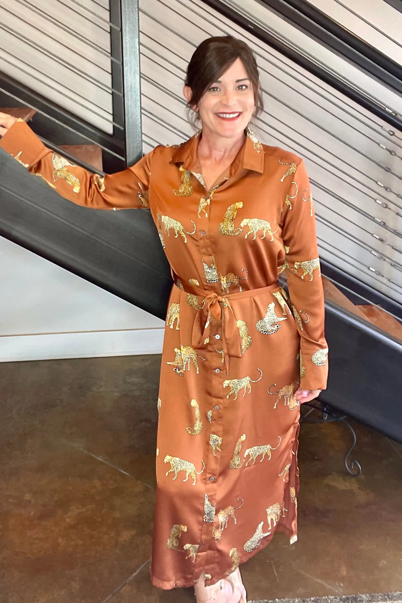 Skyla Satin Button Down Dress